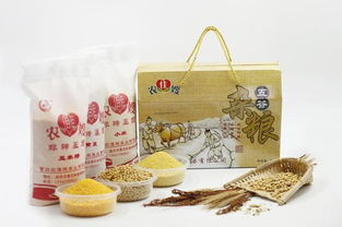 農(nóng)佳嫂 營(yíng)口特產(chǎn)和文化藝術(shù)品鑒會(huì)明星產(chǎn)品