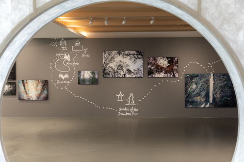 向西 聚焦松江 從藝術(shù)角度進(jìn)入城市肌理與人文